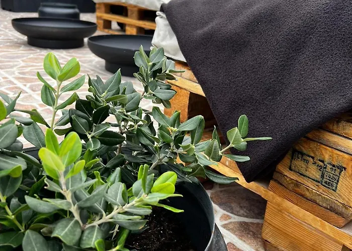 Trendy Seaside Escape 2 Bedroom Penthouse *